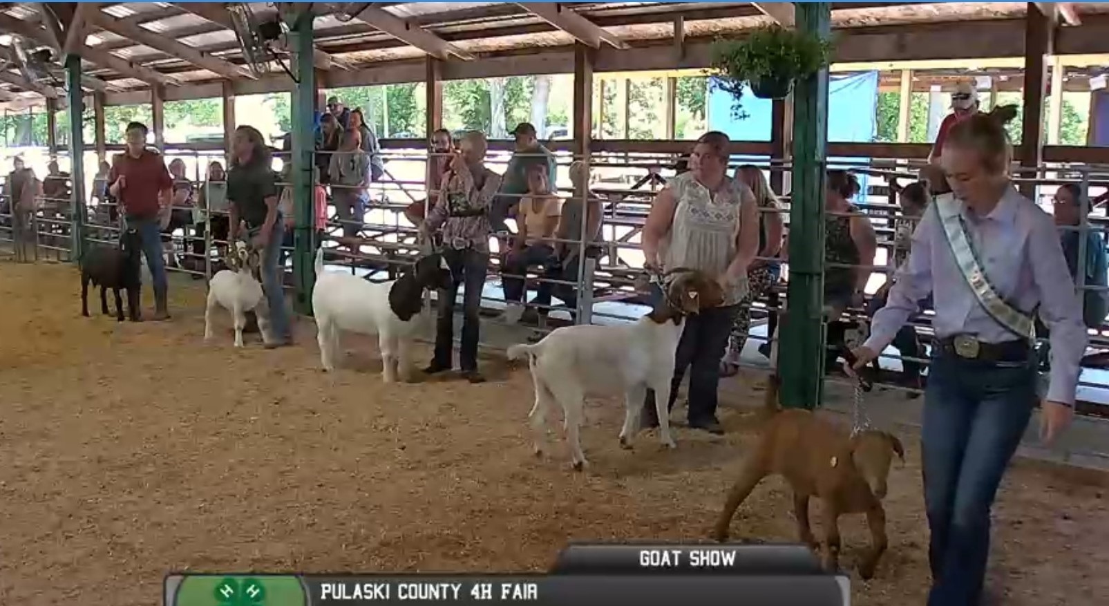 4-H Activities