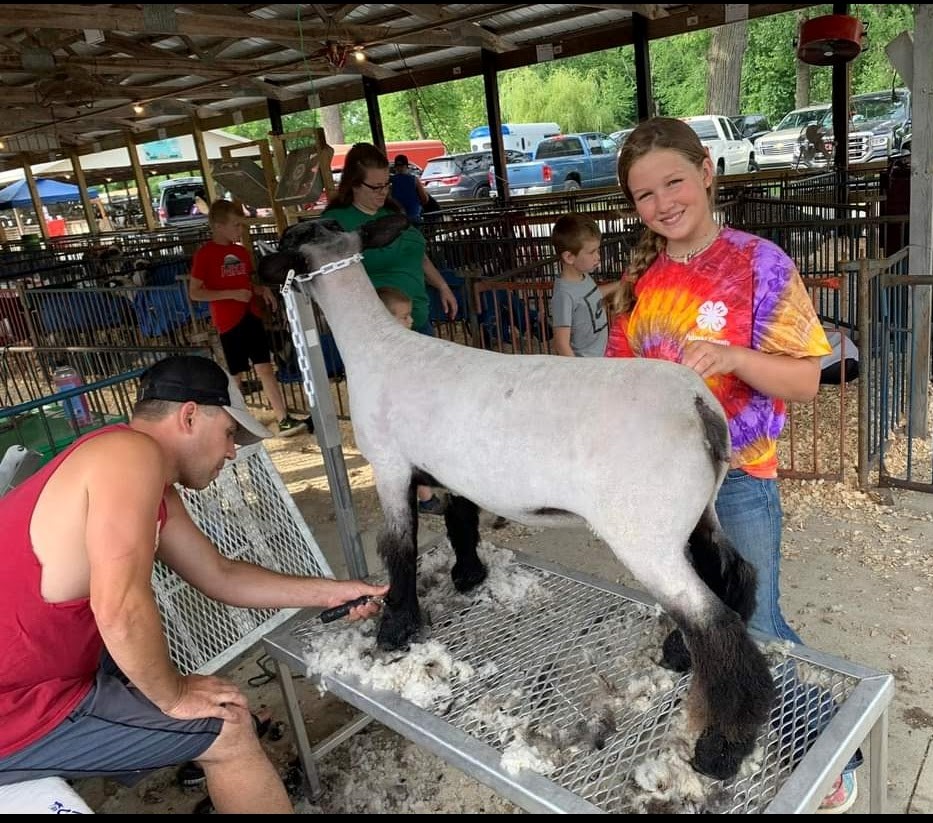 4-H Livestock Show
